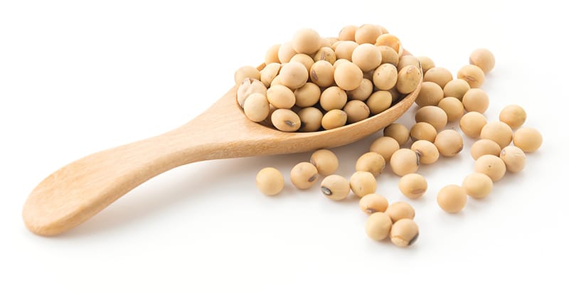 Soya beans on a spoon
